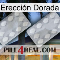 Erección Dorada 17